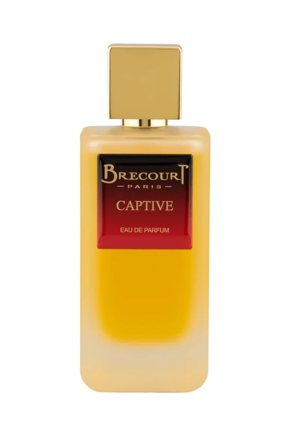 Captive (Brecourt)