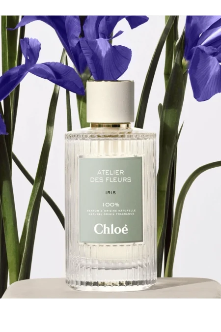 Atelier des Fleurs Iris (Chloé) 2