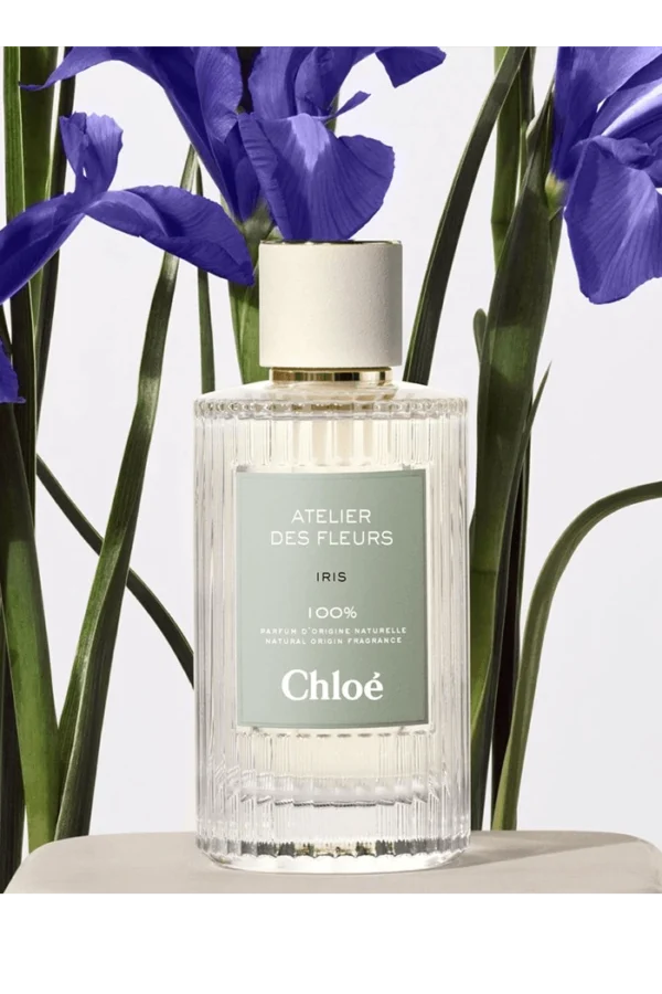 Atelier des Fleurs Iris (Chloé) 2