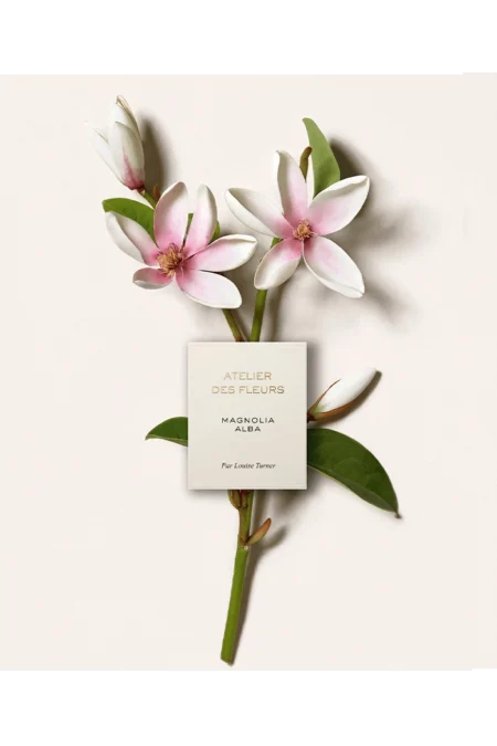 Chloé Atelier des Fleurs Magnolia Alba Shop Chloe Atelier Des Fleurs Magnolia Alba EDP in New Zealand