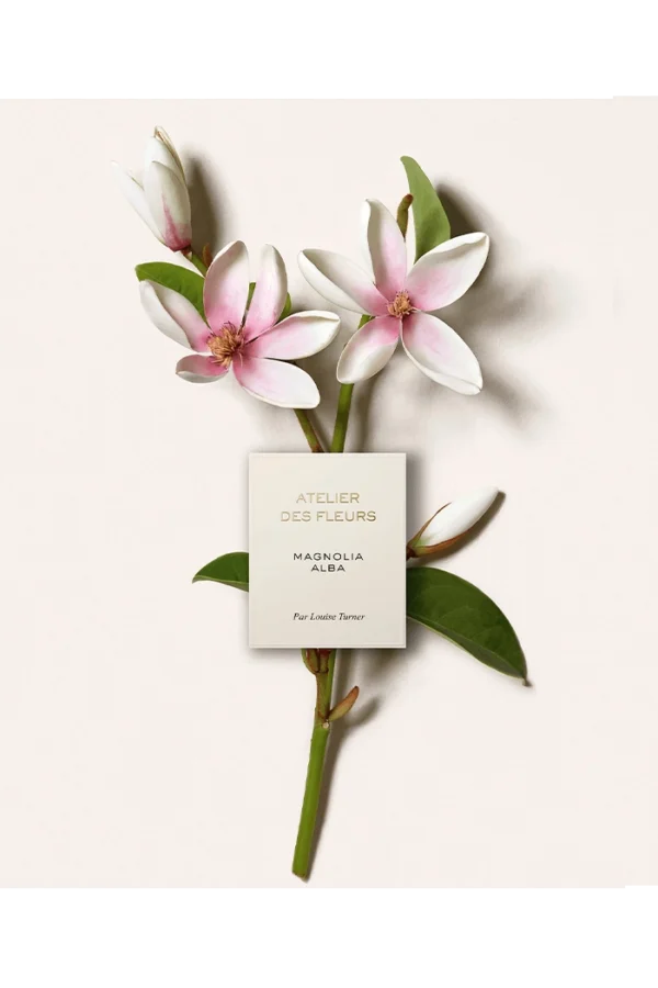 Atelier des Fleurs Magnolia Alba (Chloé) 3