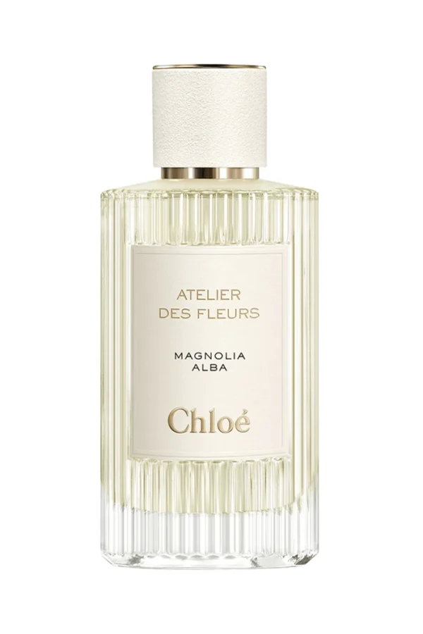 Atelier des Fleurs Magnolia Alba (Chloé)