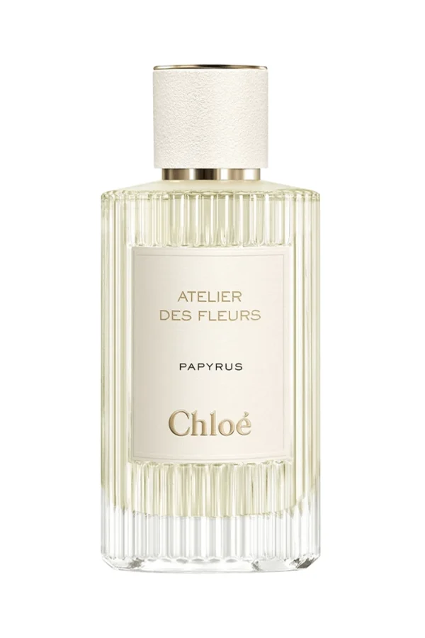 Atelier des Fleurs Papyrus (Chloé)