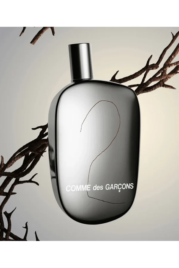 Comme des Garcons 2 (Comme des Garcons) 2