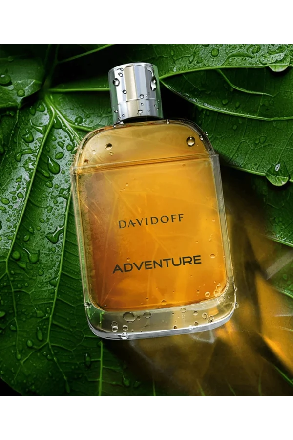 Adventure (Davidoff) 3