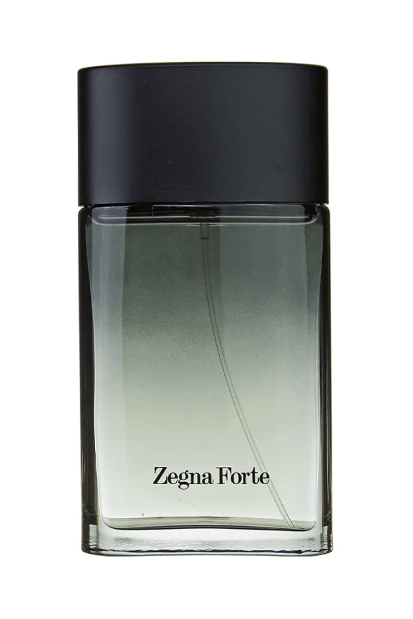 Zegna Forte (Ermenegildo Zegna)