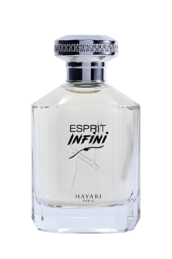 Esprit Infini (Hayari Parfums)