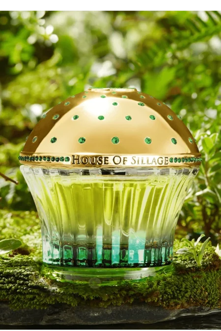 Passion de L'Amour (House Of Sillage) 1