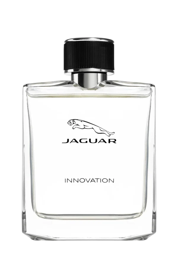 Jaguar Innovation (Jaguar)