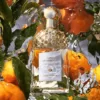 Aqua Allegoria Mandarine Basilic (Guerlain) — изображение 6