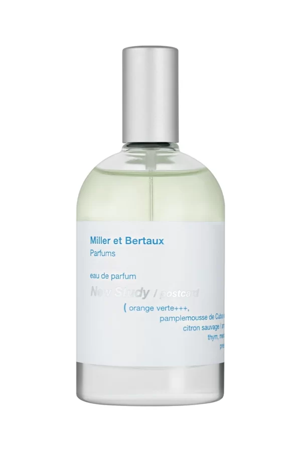 New Study / Postcard (Miller et Bertaux)