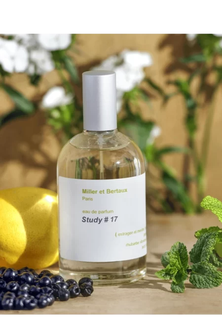Study # 17 (Miller et Bertaux) 2