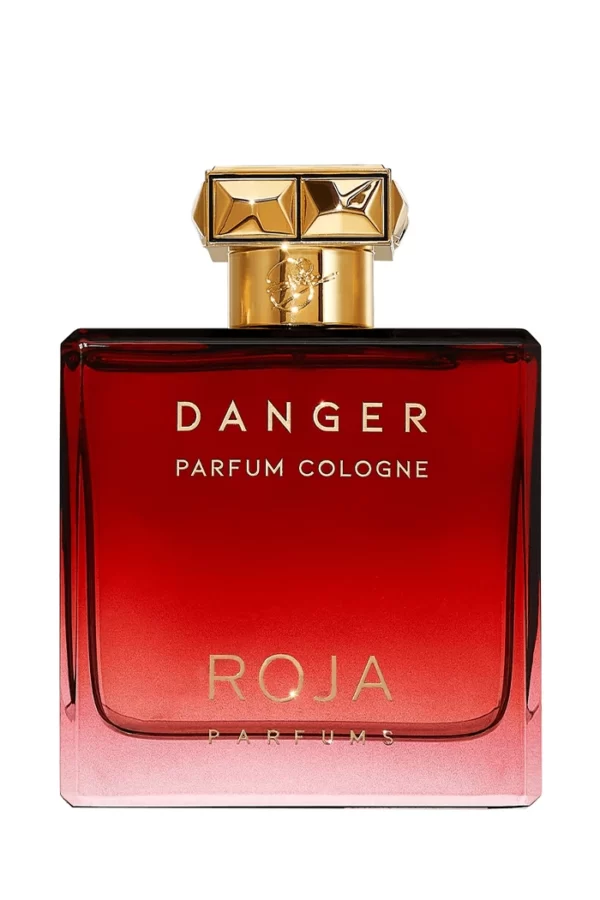 Danger Pour Homme Parfum Cologne (Roja Parfums)