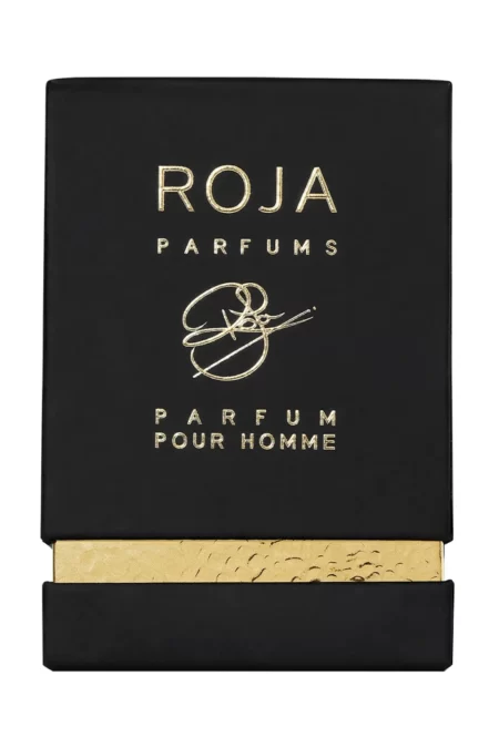 Enigma Pour Homme (Roja Parfums) 1