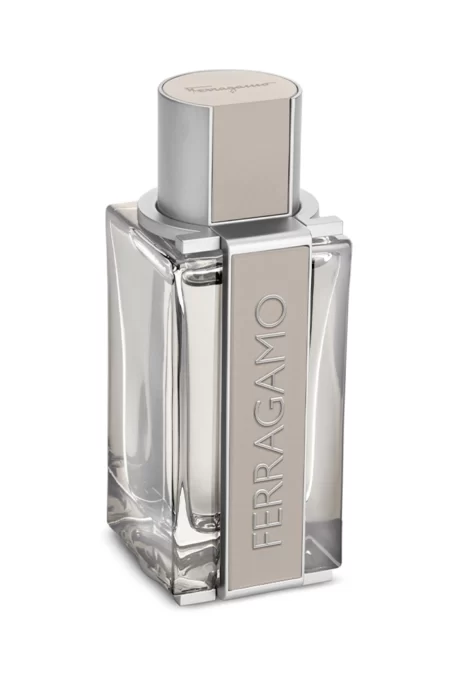 Ferragamo Bright Leather (Salvatore Ferragamo) 2