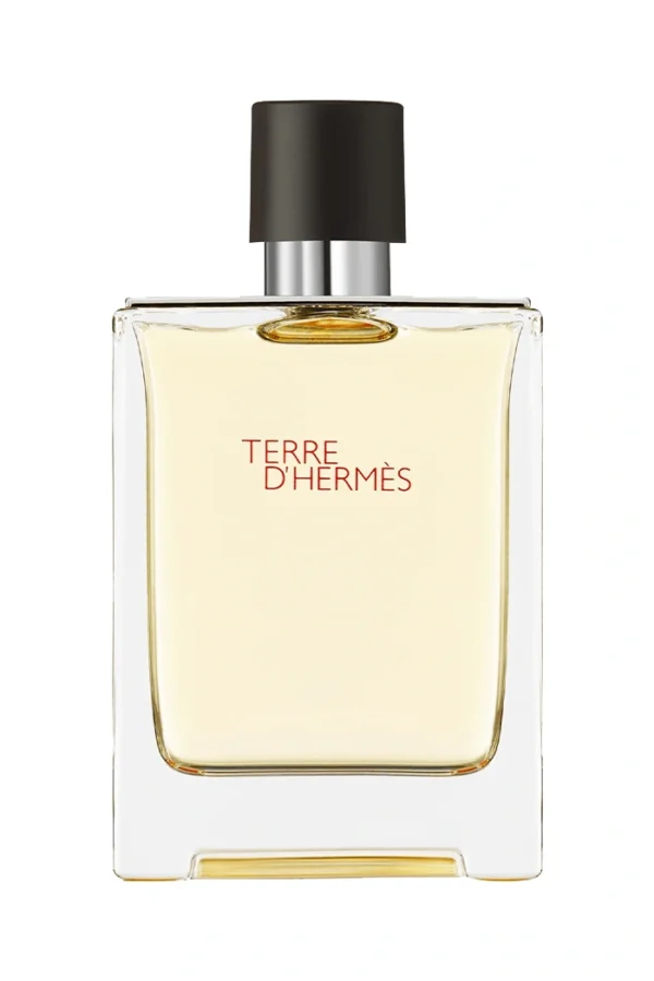 Terre d'Hermès (Hermès)