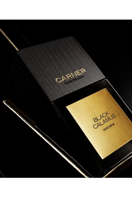 Black Calamus (Carner Barcelona) 2