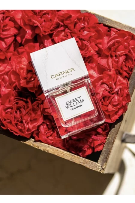 Sweet William (Carner Barcelona) 2