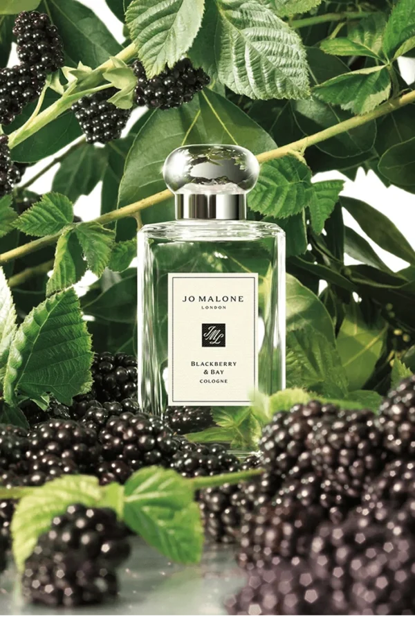 Blackberry &amp; Bay (Jo Malone London) 3