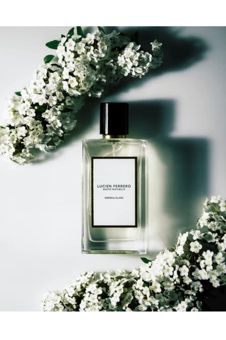 Seringa Blanc (Lucien Ferrero) 2