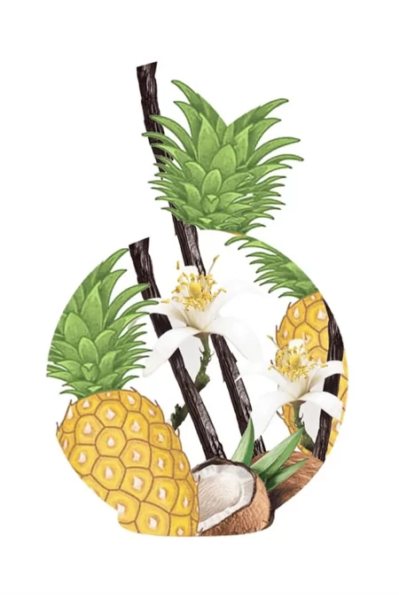 Pineapple (Max Philip) 1