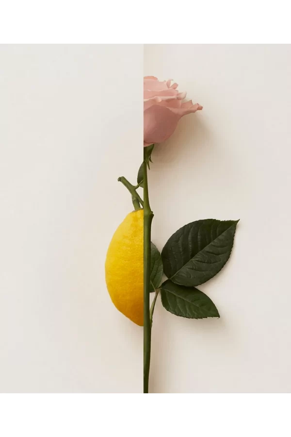 Rosa Limone (New Notes) 3