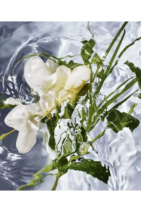Aqua Allegoria Herba Fresca (Guerlain) 4