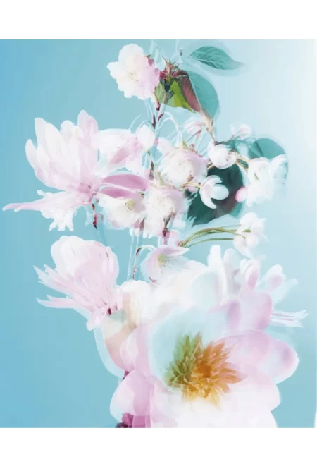 Nashi Blossom (Jo Malone London) 4