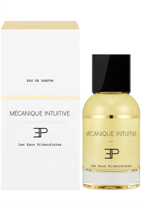 Mécanique Intuitive (Les Eaux Primordiales) 1