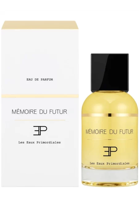 Memoire du Futur (Les Eaux Primordiales) 1