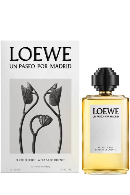 El cielo sobre la Plaza de Oriente (Loewe) 1