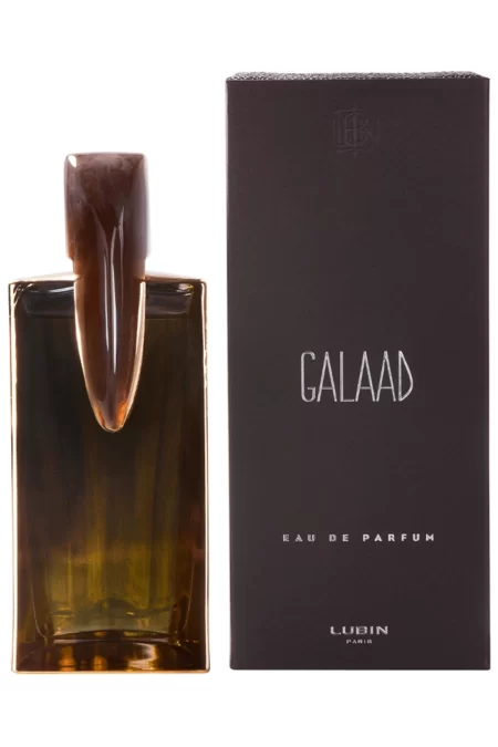 Galaad (Lubin) 1