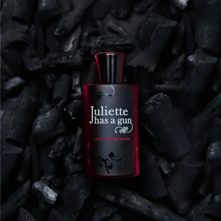 Lady Vengeance (Juliette has a gun) 4