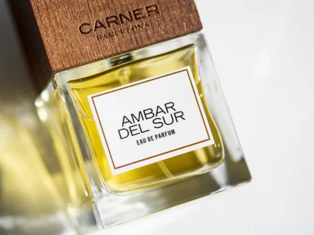Ambar del Sur (Carner Barcelona) 2