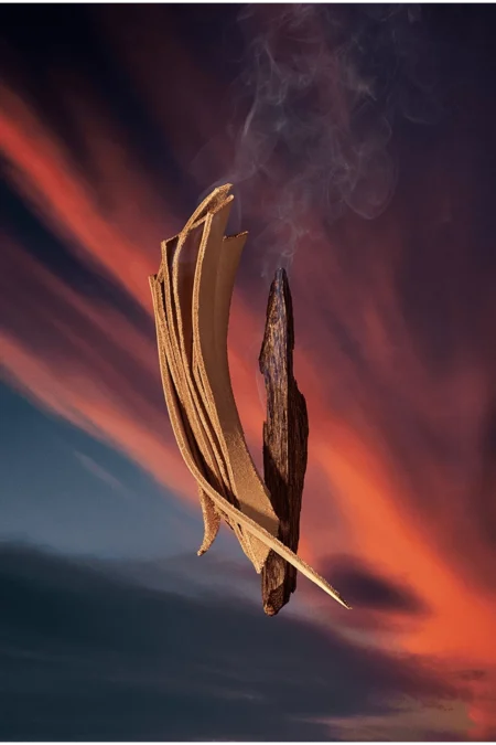 Nuit de Feu (Louis Vuitton) 3