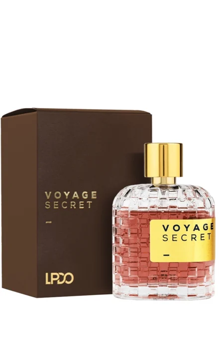 Voyage Secret (LPDO) 1