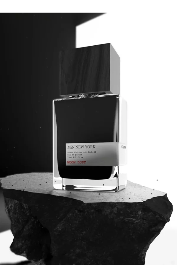 Moon Dust Vol.1/Ch.11 (Min New York) 2
