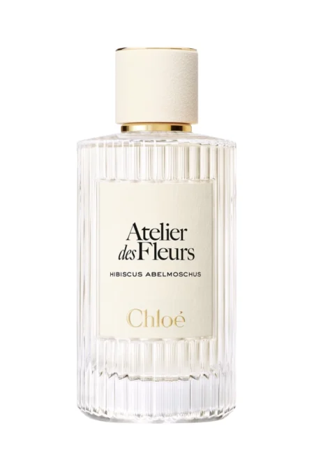 Atelier des Fleurs Hibiscus Abelmoschus (Chloé)