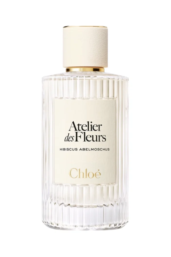 Atelier des Fleurs Hibiscus Abelmoschus (Chloé)